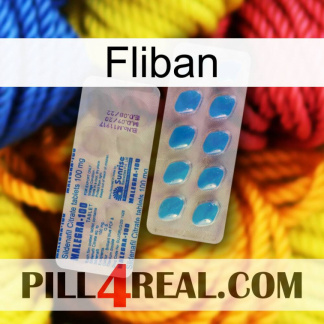 Fliban new15